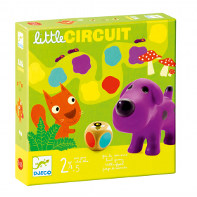 Little Circuit