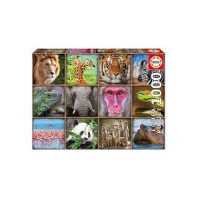 Puzzle - Animaux sauvages